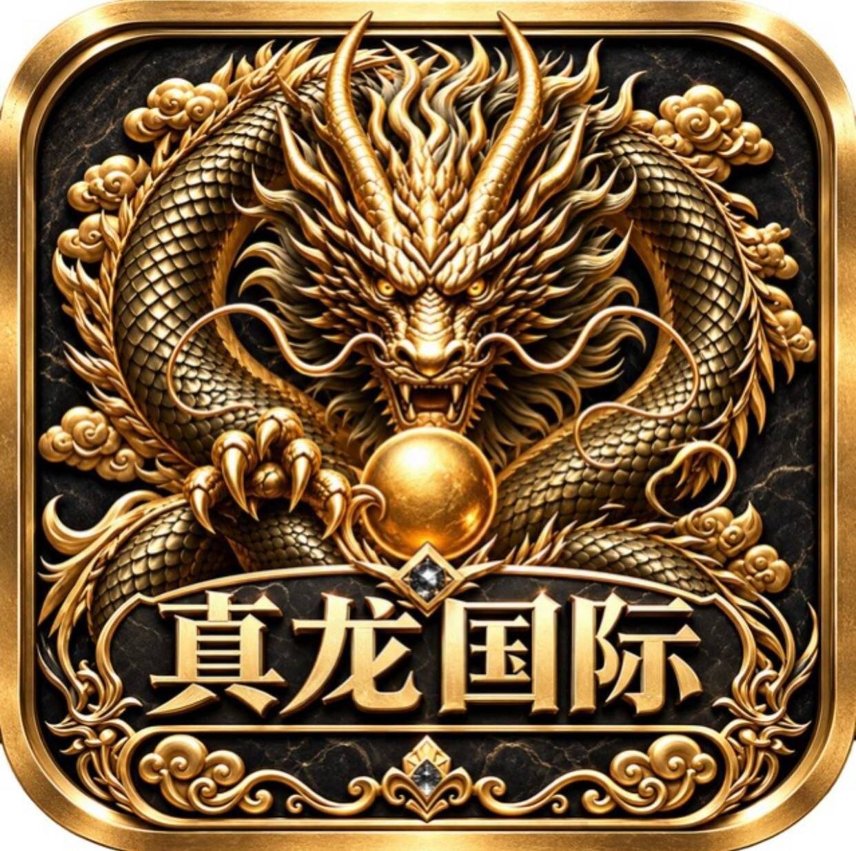 真龙国际
